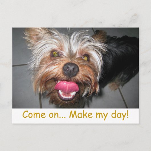 Crazy Jasper ~ Briefkaart (Voorkant)