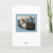 Crazy Kitten Verlaat Verjaardag Kaart (Achterkant)