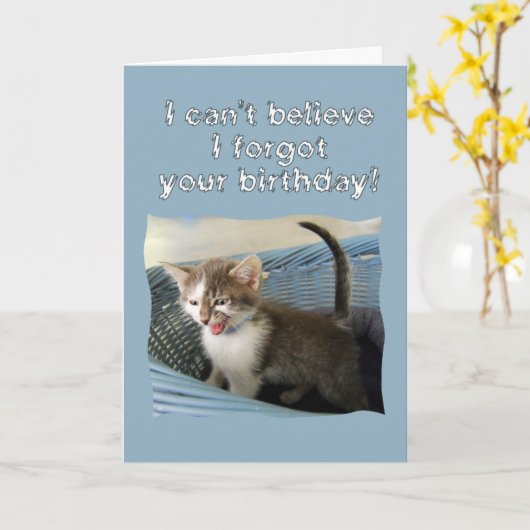 Crazy Kitten Verlaat Verjaardag Kaart (Gele Bloem)