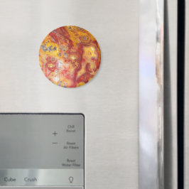 Crazy Lace Agate Pattern Magneet