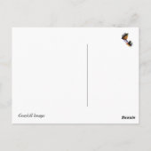 Crazy Lazy Days, Summer Briefkaart (Achterkant)