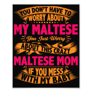 Crazy Maltese mam Foto Afdruk