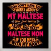 Crazy Maltese mam Poster (Voorkant)