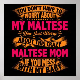 Crazy Maltese mam Poster