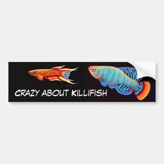 Crazy Over Killifish Bumpersticker (Voorkant)