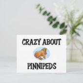 Crazy over Pinnipeds Briefkaart (Staand voorkant)