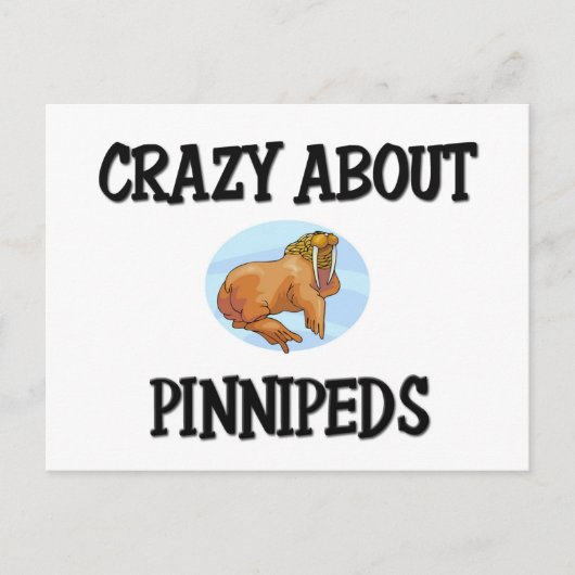 Crazy over Pinnipeds Briefkaart (Voorkant)
