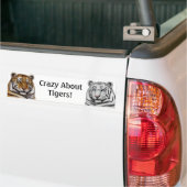 Crazy Over Tigers Bumpersticker (Op Truck)