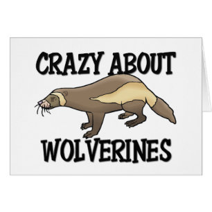 Crazy over Wolverines