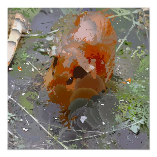 Crazy Paint - Guinee Pig Perfect Poster (Voorkant)
