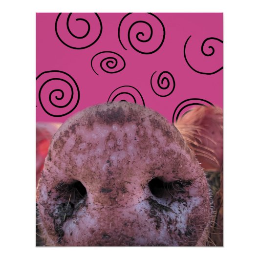 Crazy Pig Perfect Poster (Voorkant)