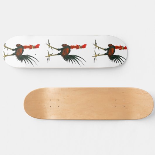 Crazy Rooster Skateboard (Horizontaal)