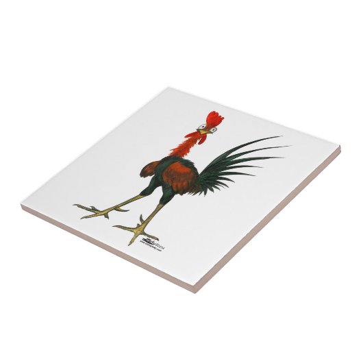 Crazy Rooster Tegeltje (Zijkant)