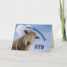 Crazy Sheep komt snel terug