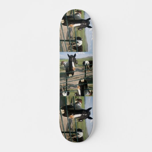 CrAzY Sk8-paarden Skateboard (Voorkant)