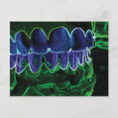 Crazy Teeth Model Tandarts Orthodontist Kaart (Voorkant)