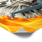 Crazy Tiger Poster (Hoek)