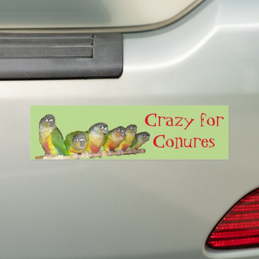 Crazy voor Conures! Bumpersticker (Op auto)