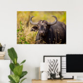 Crazy Water Buffalo Poster (Thuiskantoor)