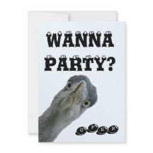 Crazy Wild Bird Party Invitation