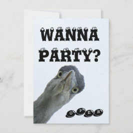 Crazy Wild Bird Party Invitation Kaart