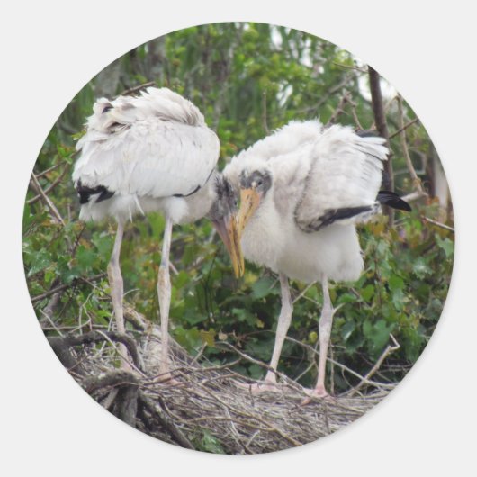 Crazy Wood Stork Stickers (Voorkant)