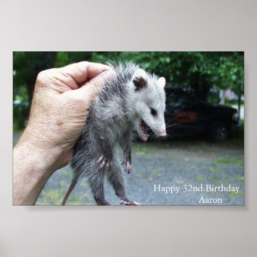Crazzzy Opossum Poster (Voorkant)