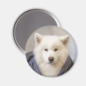 CRB Magnet - Cozy Beer (Voorkant / Achterkant)