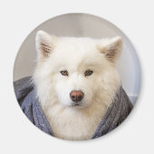 CRB Magnet - Cozy Beer (Voorkant)