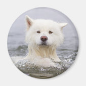 CRB Magnet - Polair Beer (Voorkant)