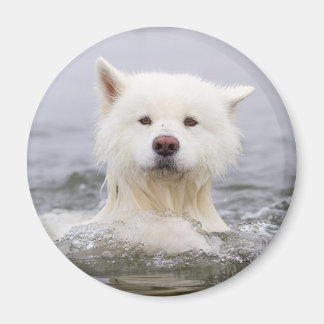 CRB Magnet - Polair Beer