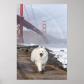 CRB Rainbow Bridge Poster (Voorkant)