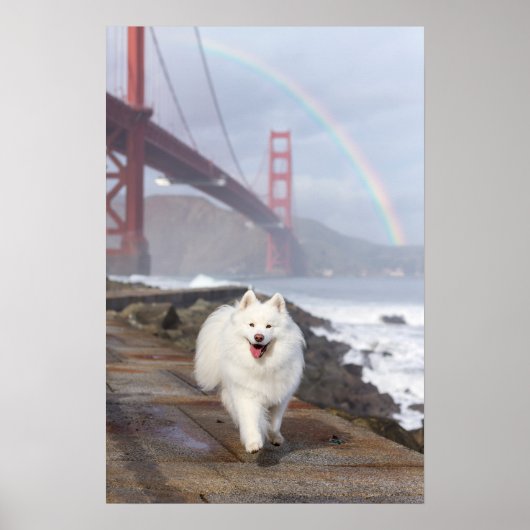 CRB Regenboogbrug Poster (Voorkant)