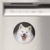 CRB Smiling Magnet (Insitu (Vaatwasser))