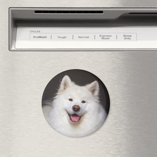 CRB Smiling Magnet (Insitu (Vaatwasser))