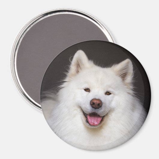 CRB Smiling Magnet (Voorkant / Achterkant)