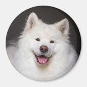 CRB Smiling Magnet (Voorkant)