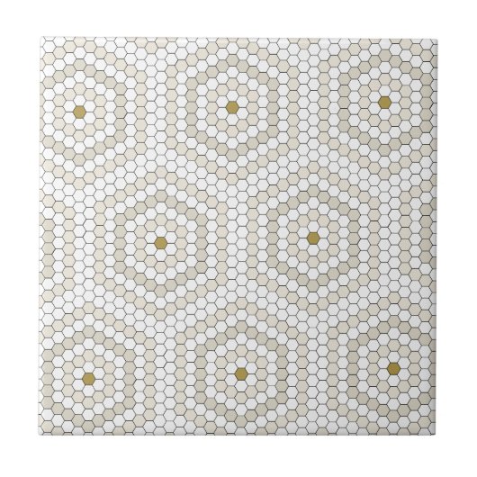 Cream & Beige Hexagon Penny Tegel Hex Tegel Patroo Tegeltje (Voorkant)