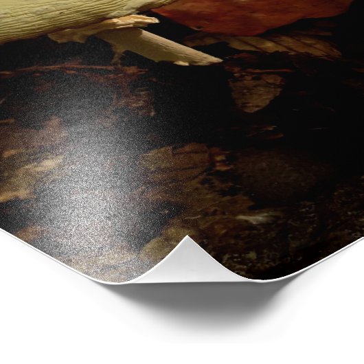 Cream Bowtie Foto Afdruk (Hoek)