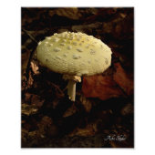 Cream Bowtie Foto Afdruk (Voorkant)