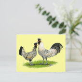 Cream Brabanter Chickens Briefkaart (Staand voorkant)