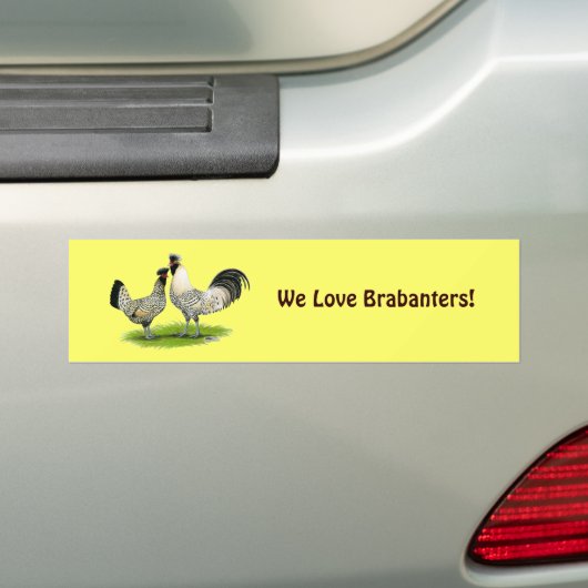 Cream Brabanter Chickens Bumpersticker (Op auto)