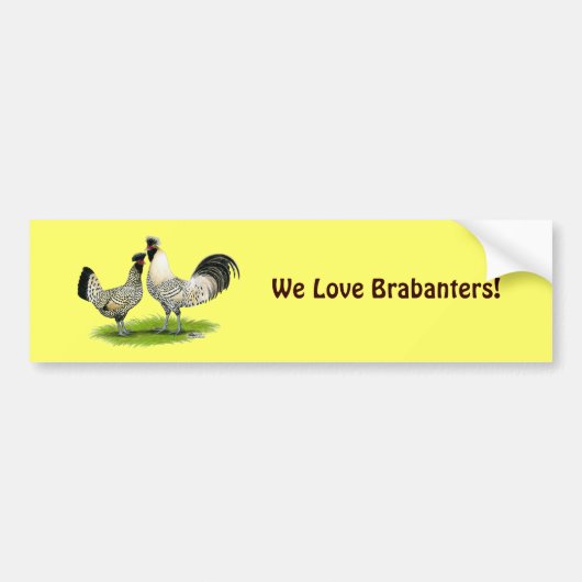 Cream Brabanter Chickens Bumpersticker (Voorkant)