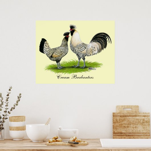 Cream Brabanter Chickens Poster (Keuken)