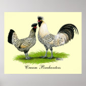 Cream Brabanter Chickens Poster (Voorkant)