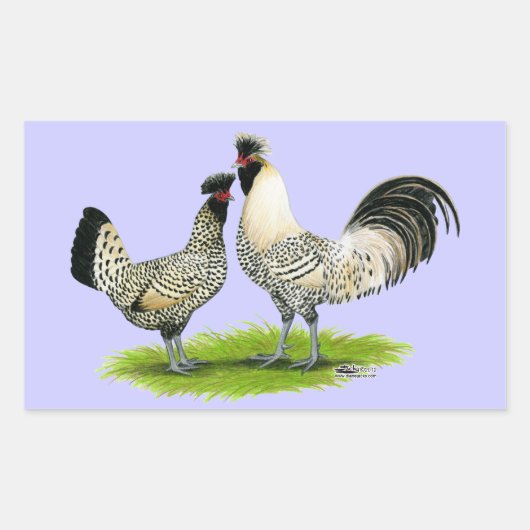 Cream Brabanter Chickens Rechthoekige Sticker (Voorkant)