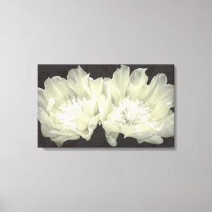 Cream Cactus Flowers Canvas Afdruk