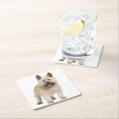 Cream Cairn Terrier Puppy Dog Love Kartonnen Onderzetters (Insitu)