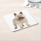 Cream Cairn Terrier Puppy Dog Love Kartonnen Onderzetters (Schuin)