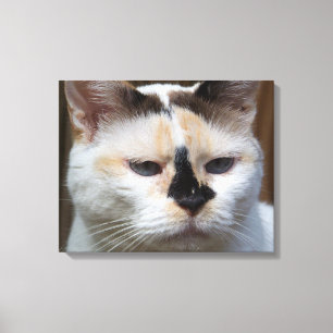 Cream Calico 20-inch x16-inch canvasafdruk Canvas Afdruk
